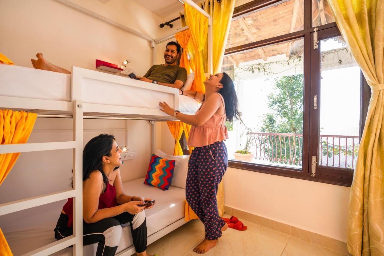 Gostops مكتزور المظهر الخارجي الصورة
