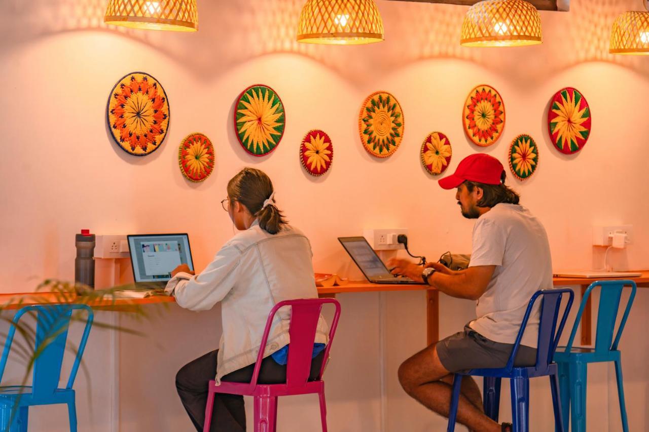 Gostops مكتزور المظهر الخارجي الصورة